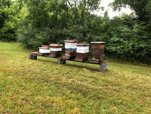 The Busy "Off Season" at Farris Farms Honey